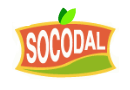 Socodal